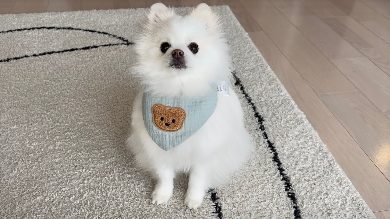朝ごはんをたべる！
