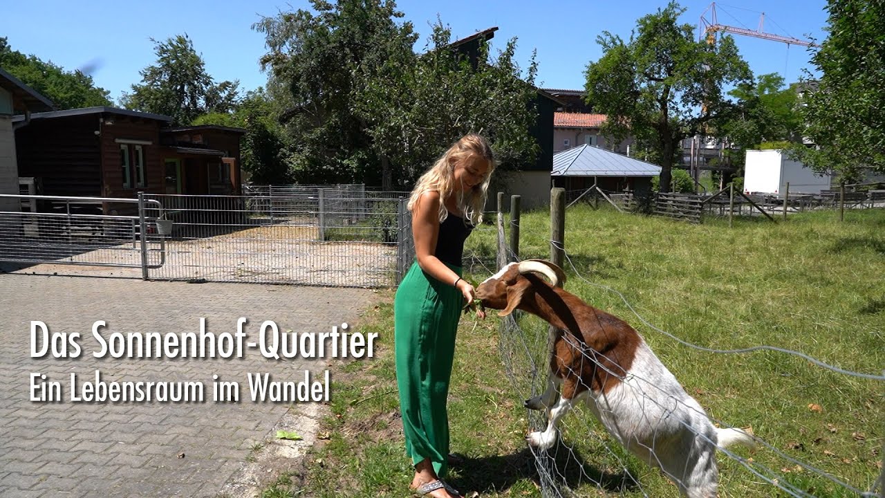 Das Sonnenhof-Quartier – Ein Lebensraum im Wandel