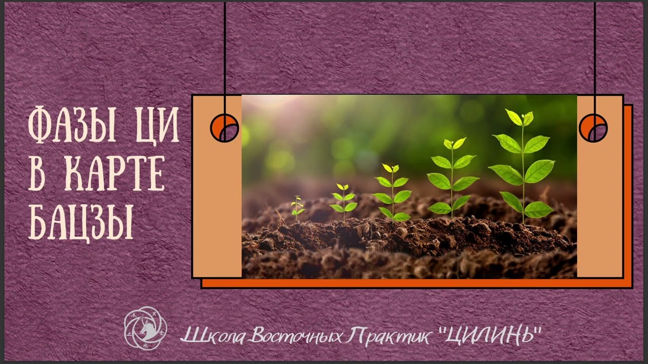 ФАЗЫ ЦИ В КАРТЕ БАЦЗЫ.