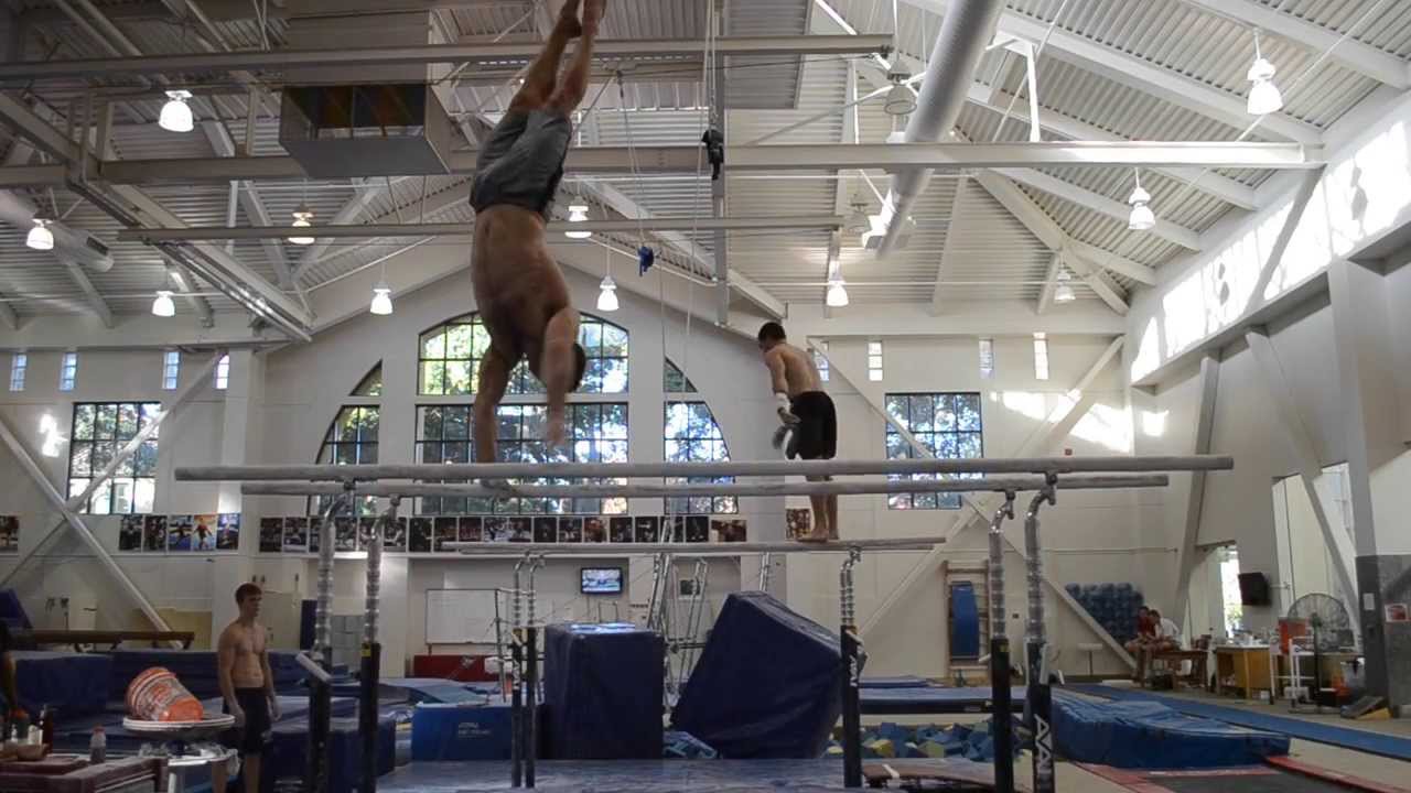 2014 Stanford Men's Gymnastics