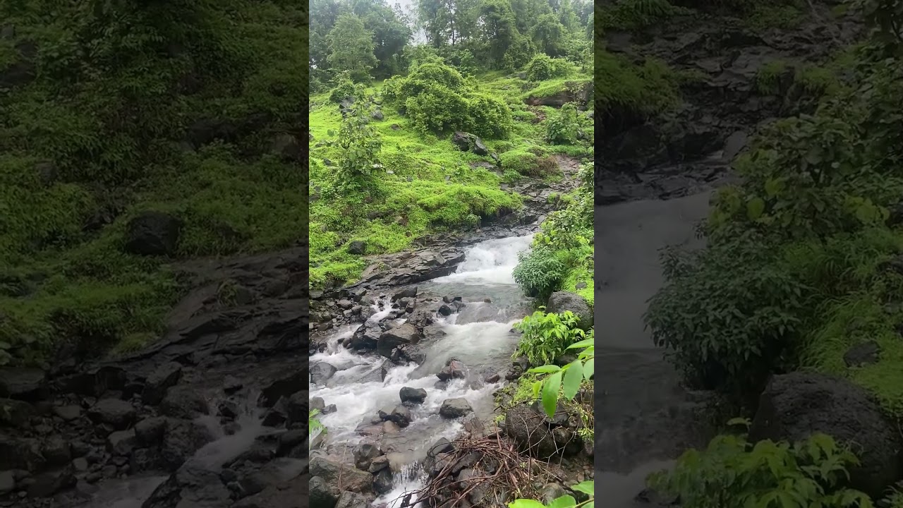 힐링되는 계곡 물 흐르는 소리 | Healing Stream Sounds for Relaxation #수면유도 #nature #stillsound #비와외로움 #rain