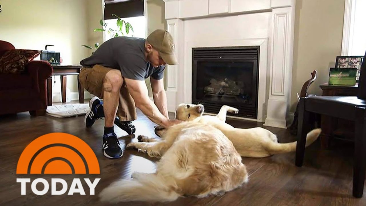 Service Dog Gives A Vet Dogs Ambassador A New 'Leash' On Life | TODAY