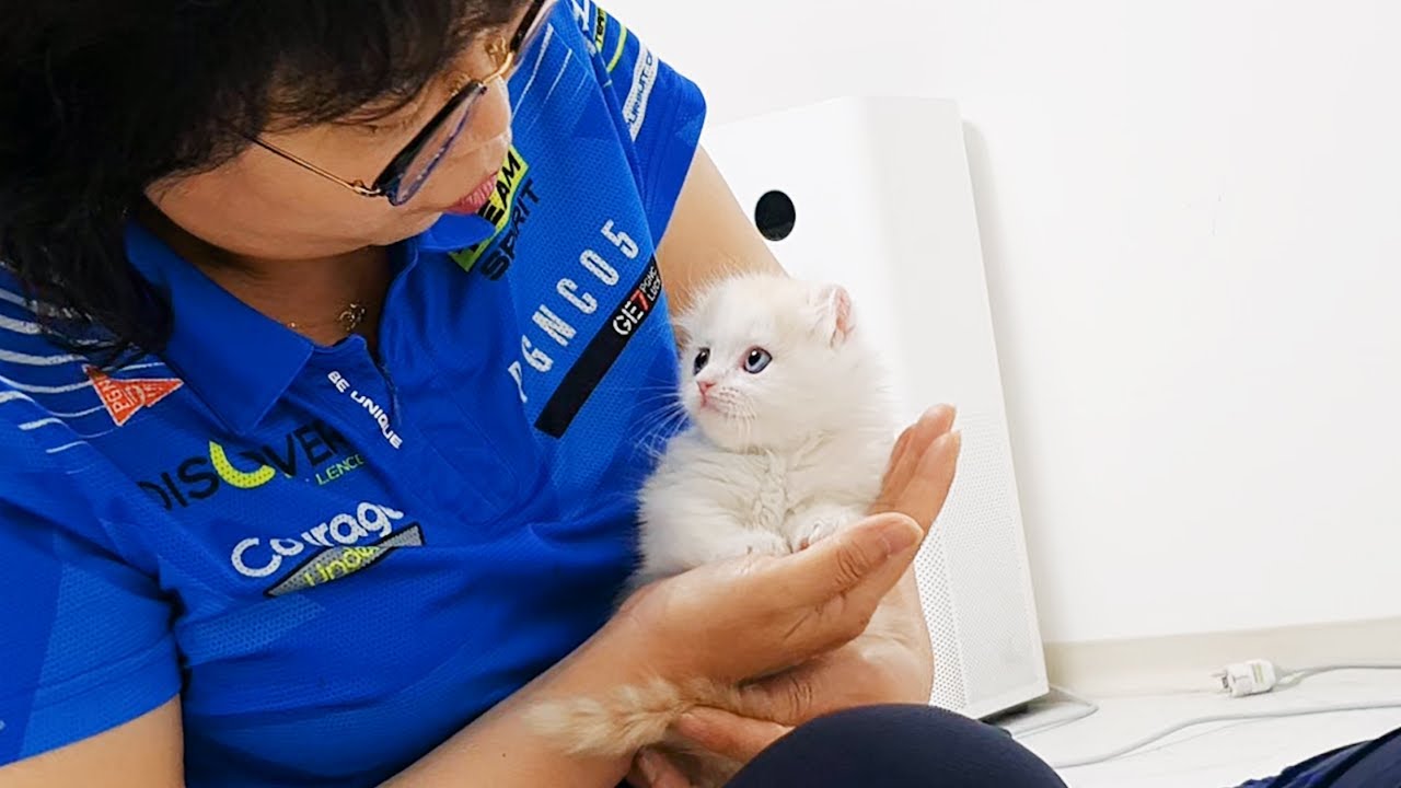 My Mom Really Hated the Cats, But Now She has Changed!!