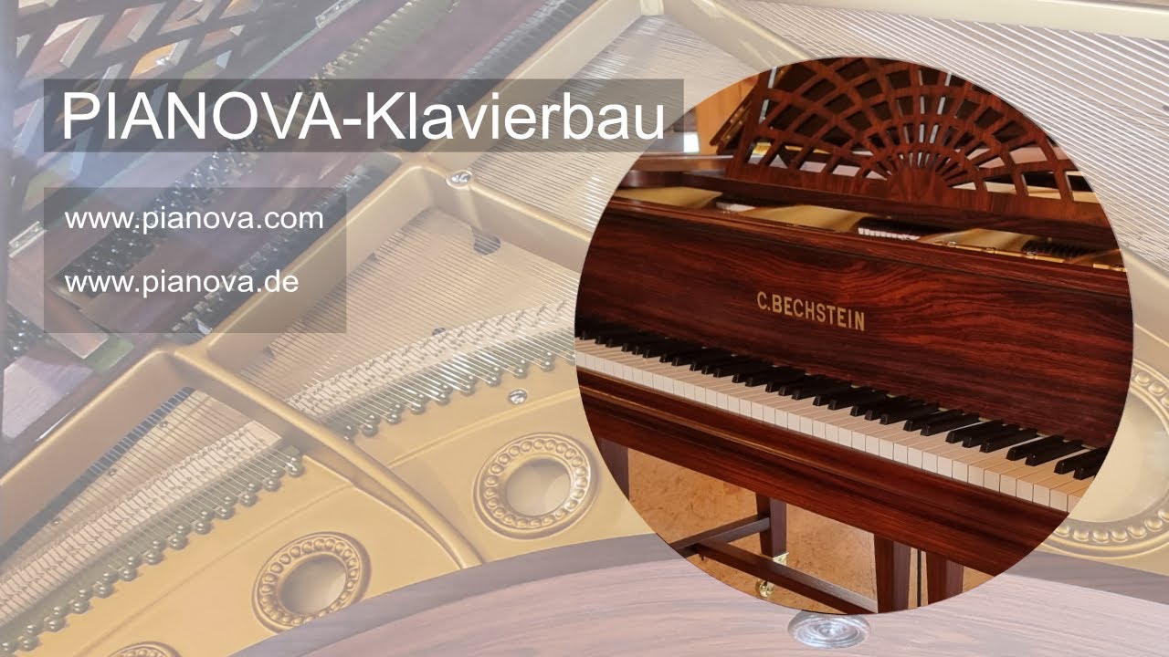 C.BECHSTEIN B 