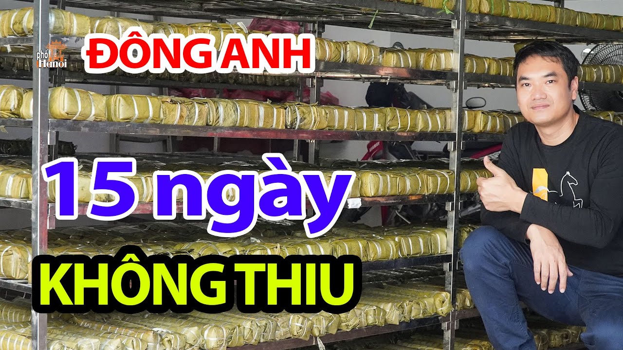 Đặc Sắc Làng Bánh Chưng Lỗ Khê Dịp Tết Để 15 Ngày Không Thiu #hnp