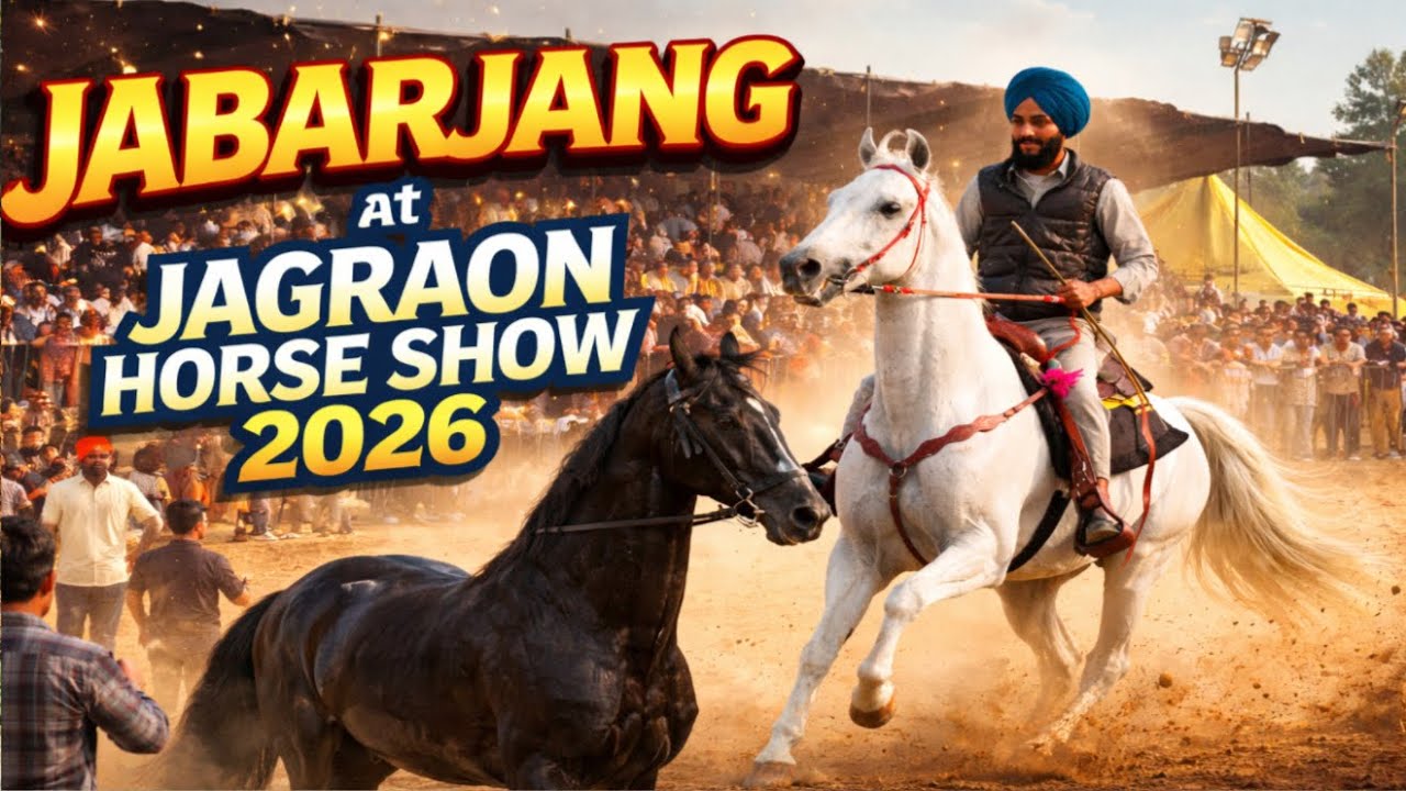 JABARJANG te JODHA leke ponche Jagraon Horse Show te🐎//Show da hogya ohi hal❌