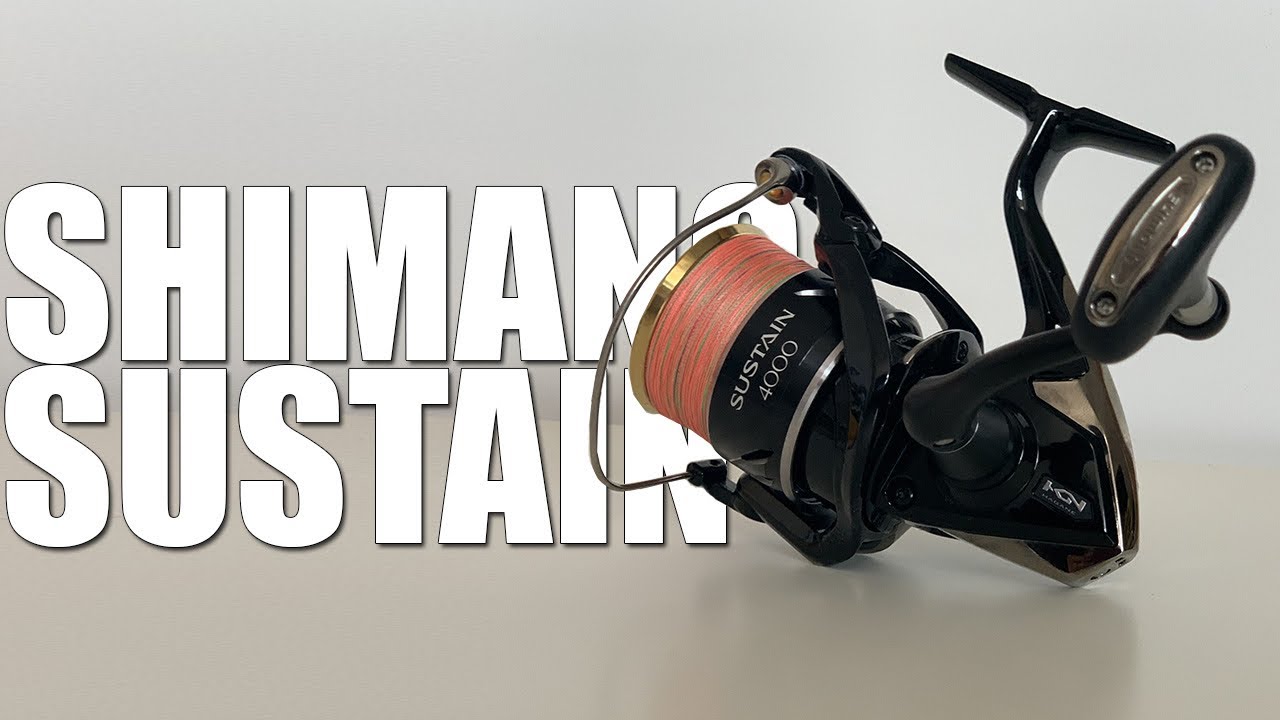 Shimano Sustain 4000 FI или как про***ть 200$ красиво