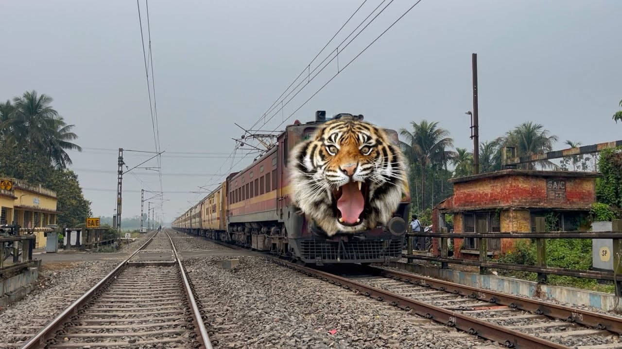 Dangerous Tiger Headed Intercity Express Furious Passing Throughout at Railgate Crossing 