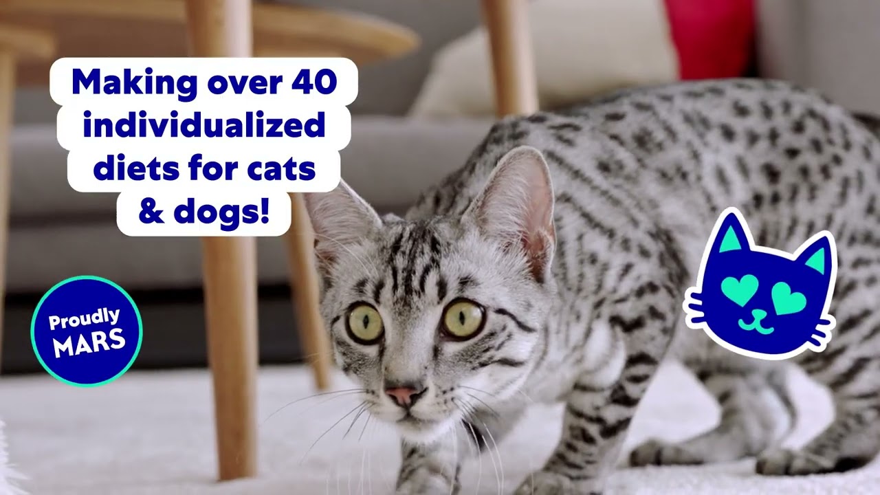 Royal Canin&reg; and Mars pioneered breed-specific pet food