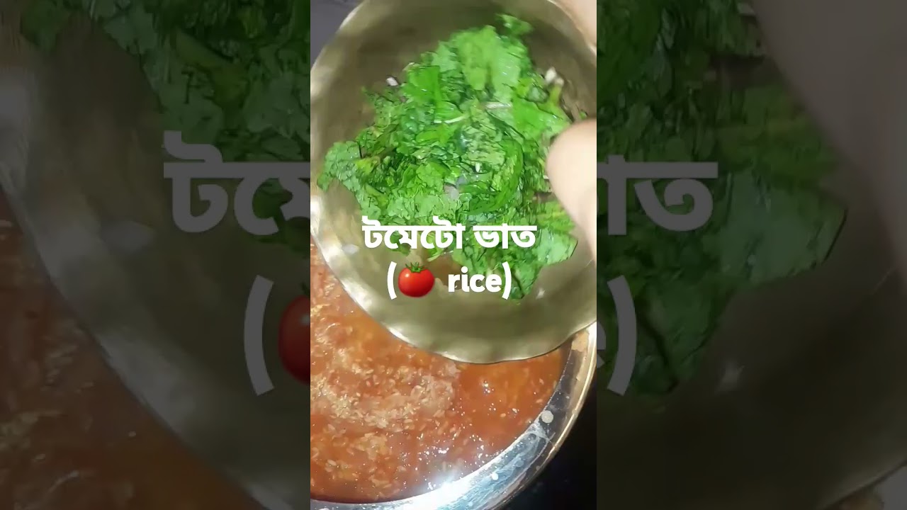 Super healthy tomato rice recipe #shortvideo #cooking #bengalivlog #probasi