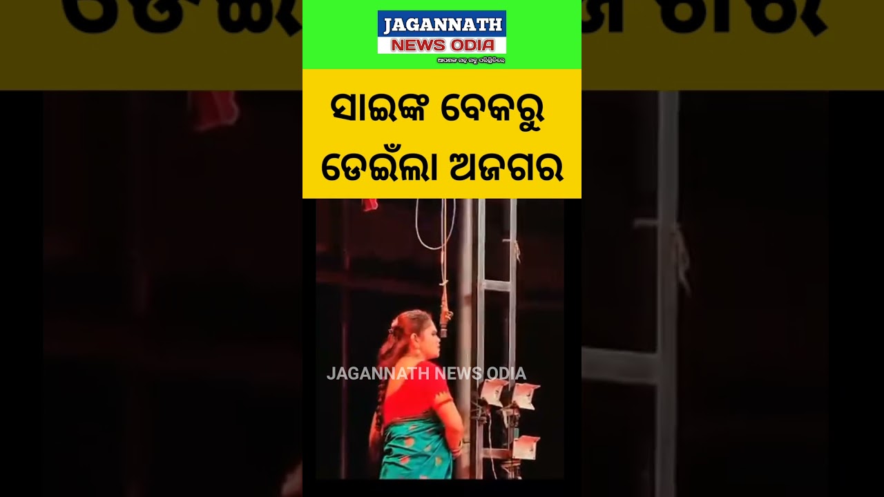 ସାଇଙ୍କ ବେକରୁ ଡେଇଁଲା ଅଜଗର ।। 