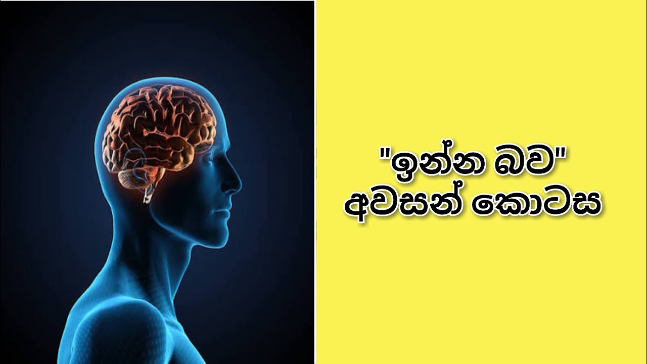 සිතේ යාන්ත්‍රණය (5 කොටස) | Nuwan Rajapaksha