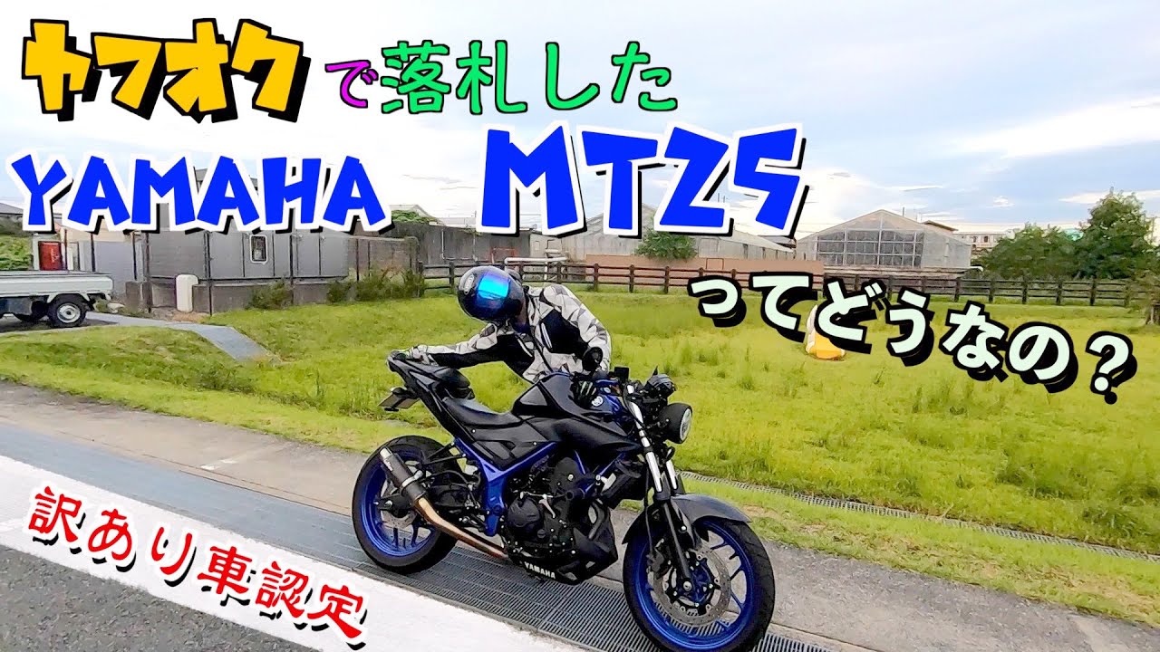 【モトブログ】ヤフオクでYAMAHA MT25を納車したがクセものだった。【Yamaha】【mt25】【ストファイ】