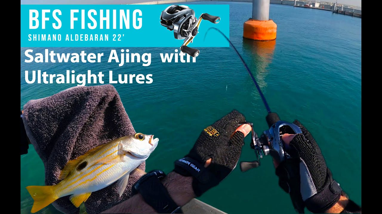 BFS FISHING with Shimano Aldebaran BFS