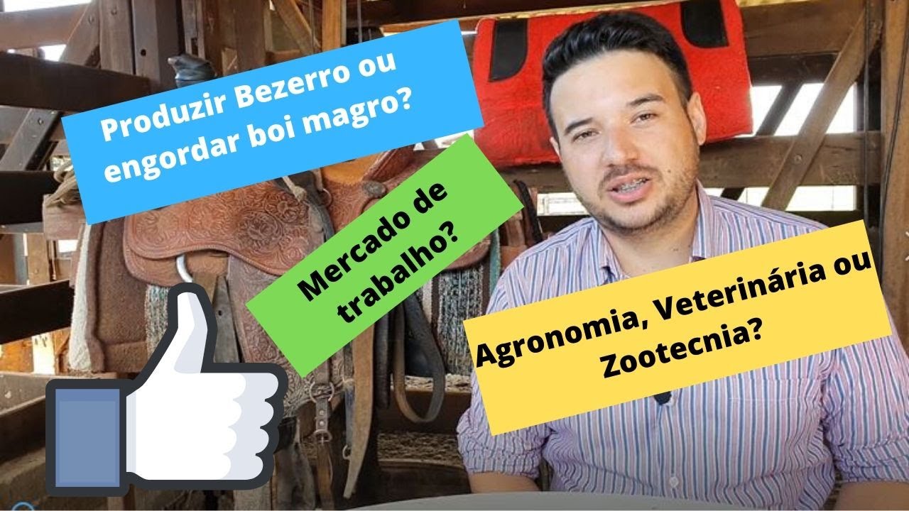 Agronomia, veterinária ou Zootecnia? Cria ou Engorda? Respondendo os inscritos