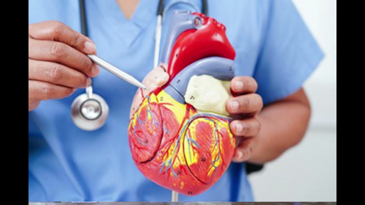 Indresh Hospital ने दो TAVR कर हासिल की उपलब्धि | SGRRU | Guru Ram rai University | SGRR Dehradun