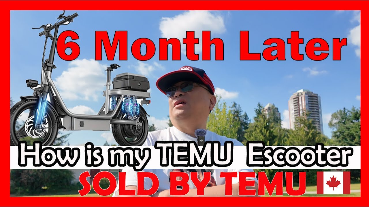 My TEMU Electric Scooter After Six Months
