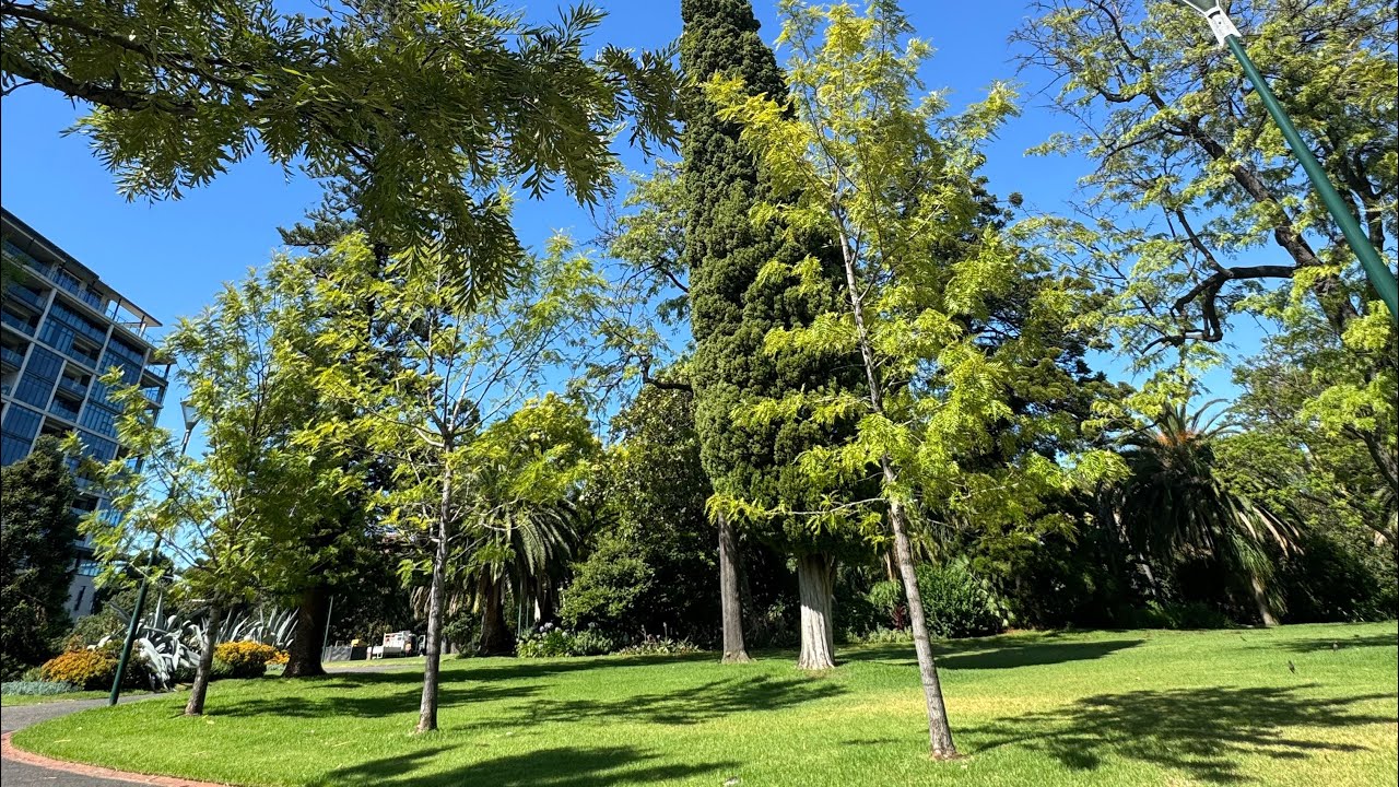 City Life Meets Nature | Beautiful Urban Garden tour 🌴🌲🌳🌱🌿🍃