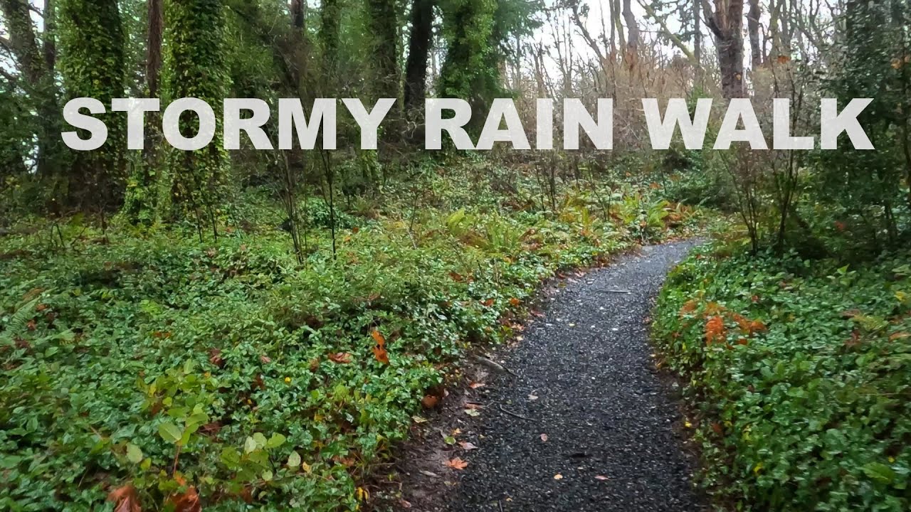 Stormy Heavy Rain Walk In Washington State - notalk - nomusic