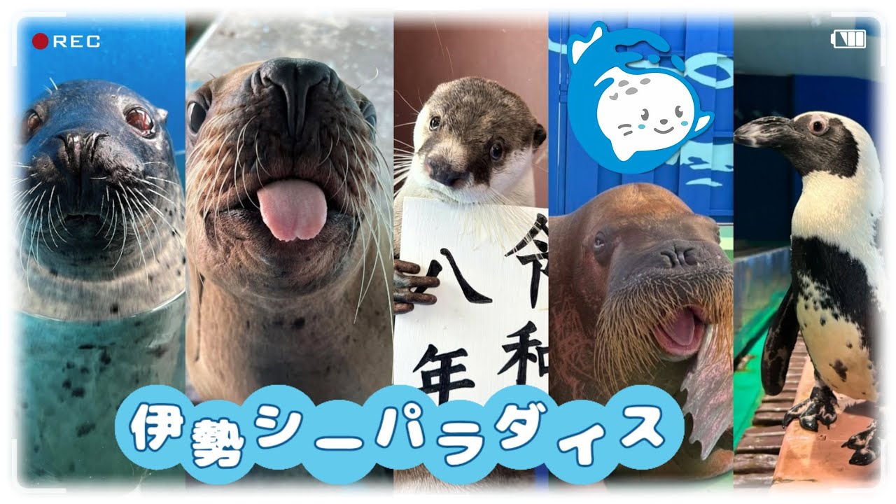 伊勢シーパラダイス 【2025年ダイジェスト版】