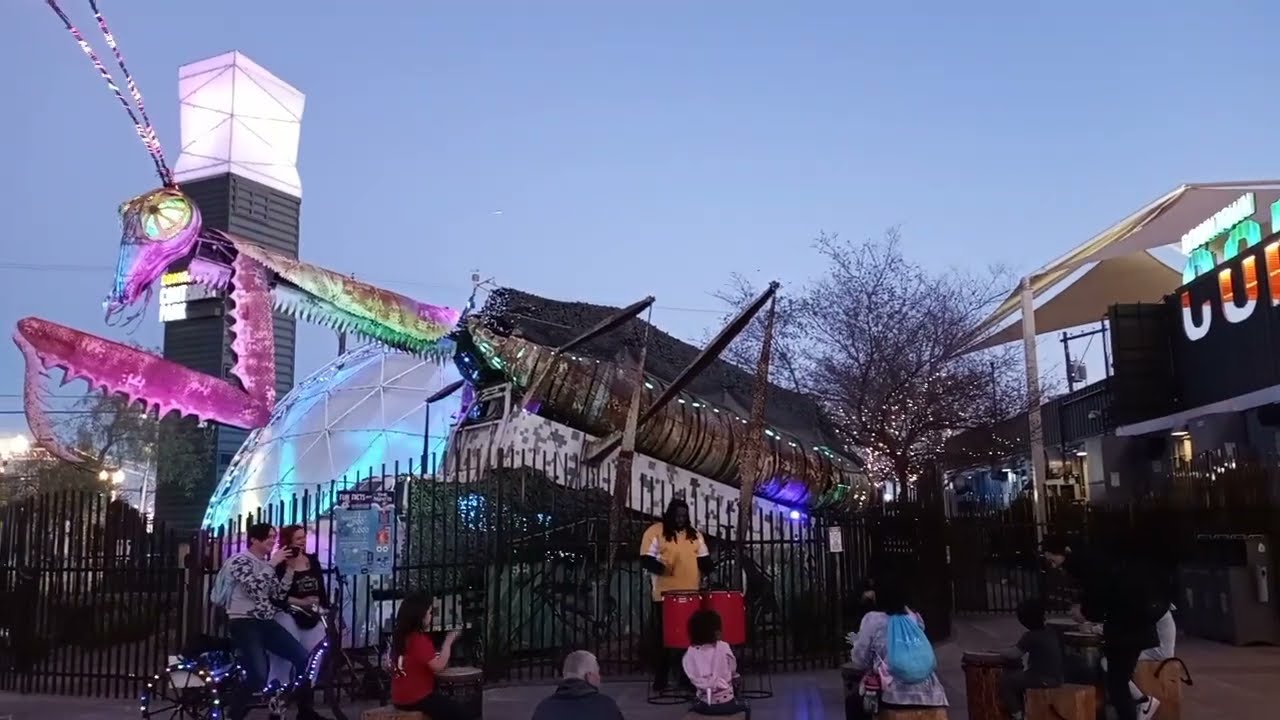 Praying Mantis at Vegas Container Park Awakens