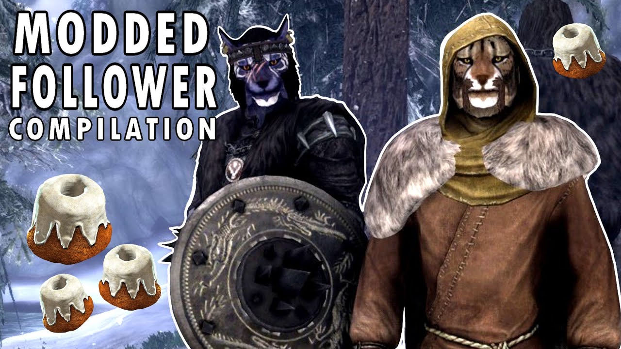My Modded Followers Being Chaotic (& Cute) # 7 | Skyrim