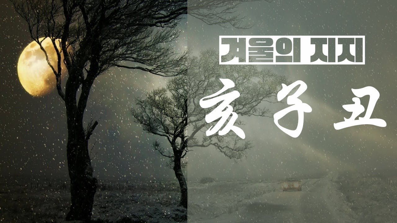 겨울의 지지(地支)- 해자축