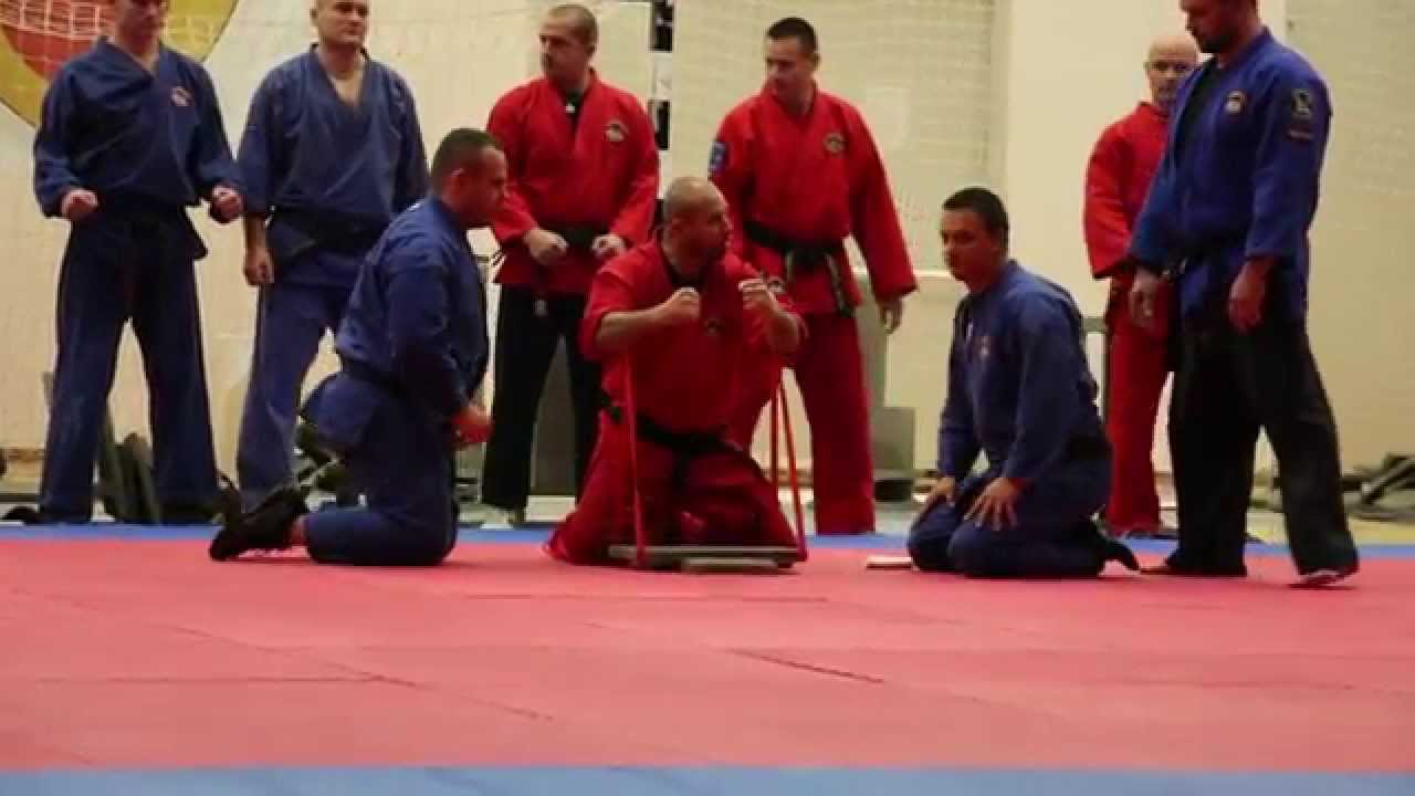 19. Hanshi Kupa - törés bemutató