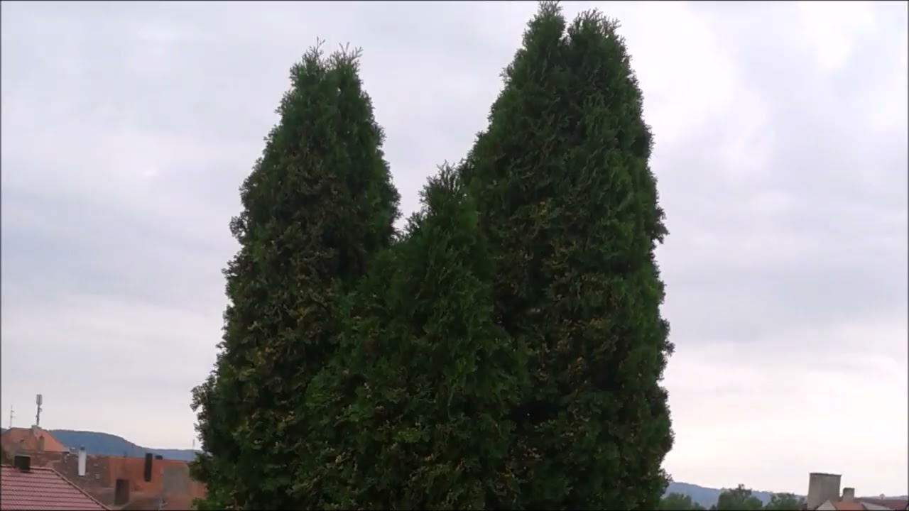 Rothenburg ob der Tauber 2