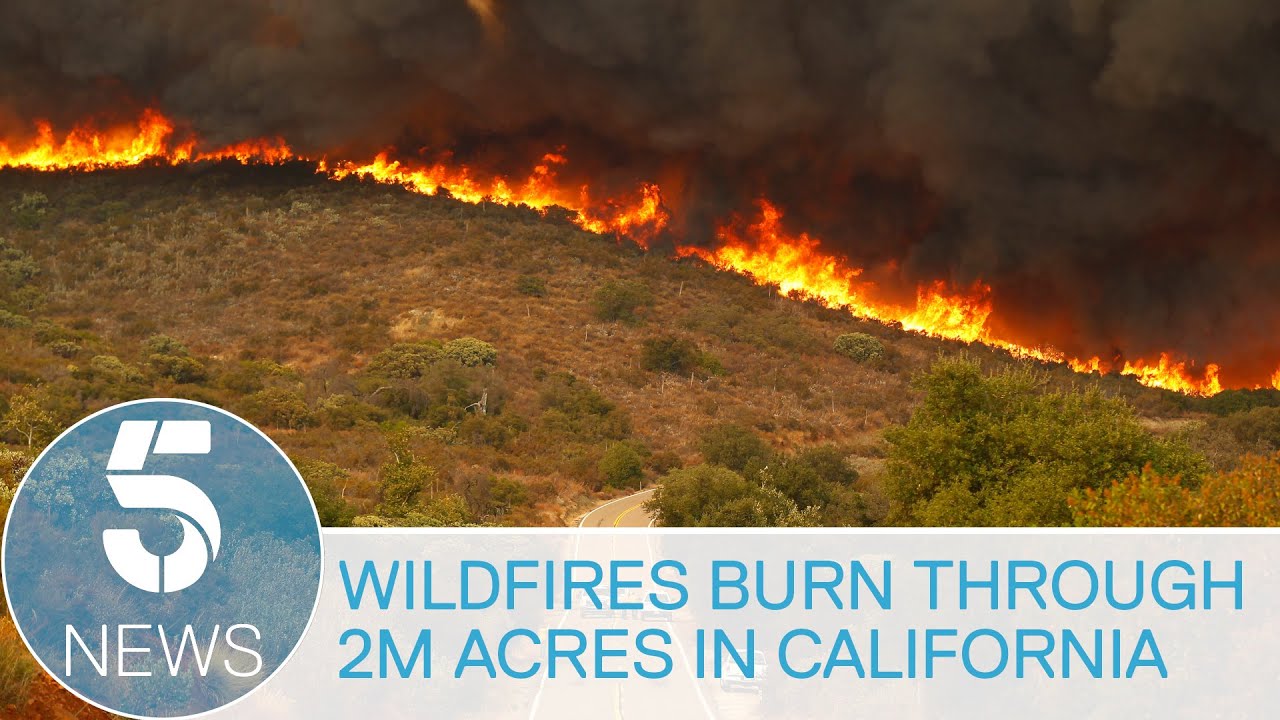 California: Wildfires have burned record 2m acres of land this year, and could get worse | 5 News