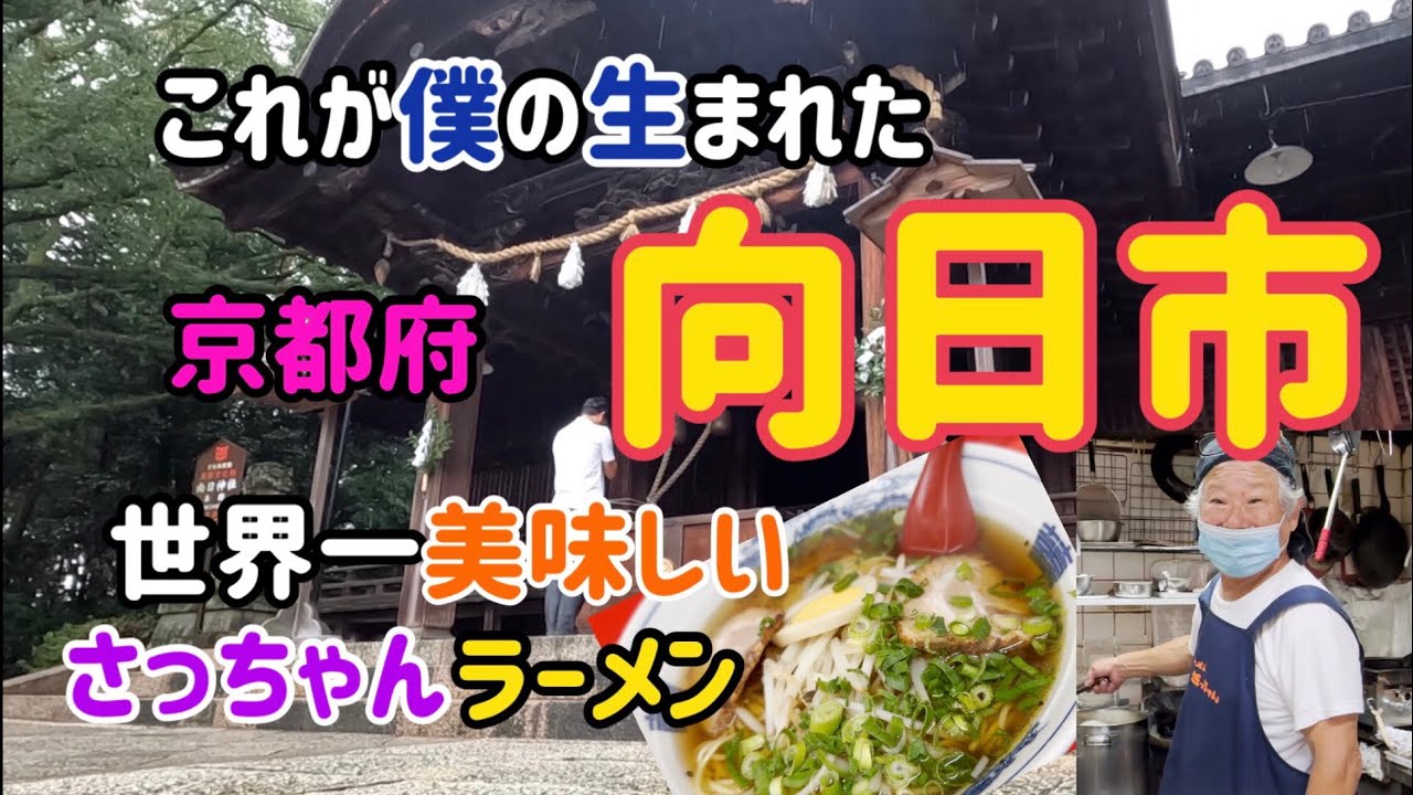 これが僕の生まれた【京都府向日市】です。