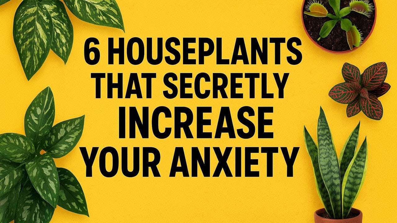 6 Houseplants That Secretly Increase Your Anxiety | Houseplant Stress | Emotional Trigger |
