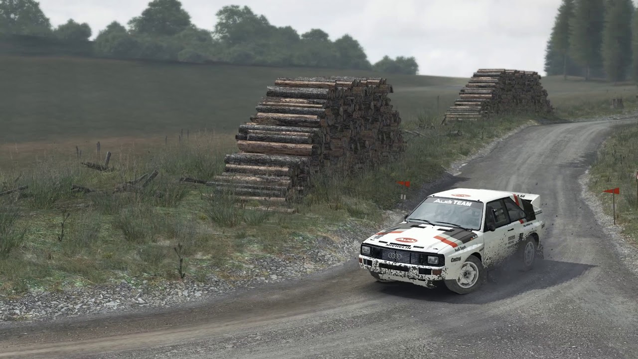 audi quattro (geufron forest)
