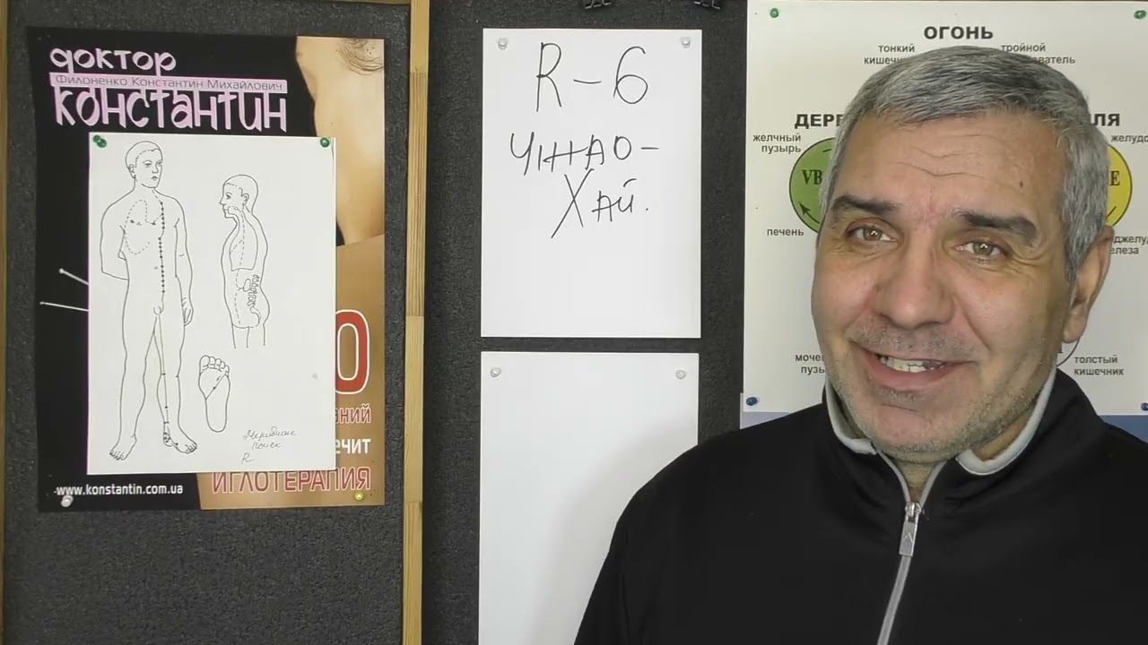 Половые органы