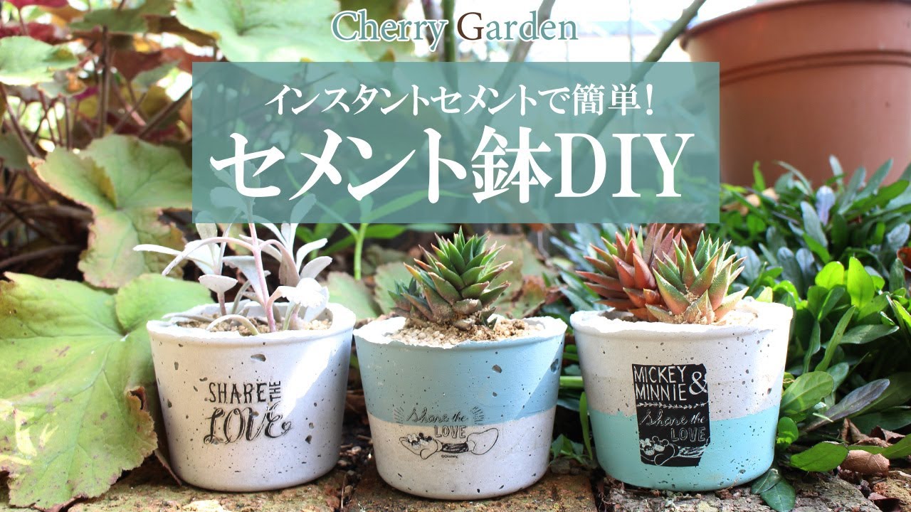 【セメント鉢DIY】100均のインスタントセメントを使って、クールなセメント鉢を作る