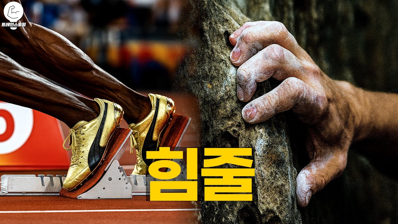 더 나은 퍼포먼스와 부상 예방을 위한 힘줄 트레이닝
