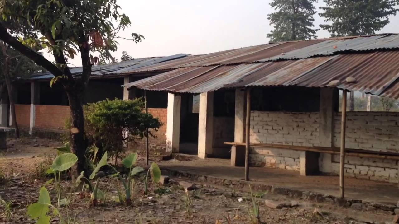 Oasis Academy, Timai, Camp; Brought you by Max Gurung.
