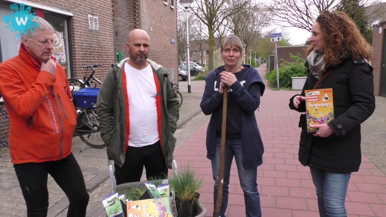 Vergroening van voortuinen in Rijpelberg Helmond