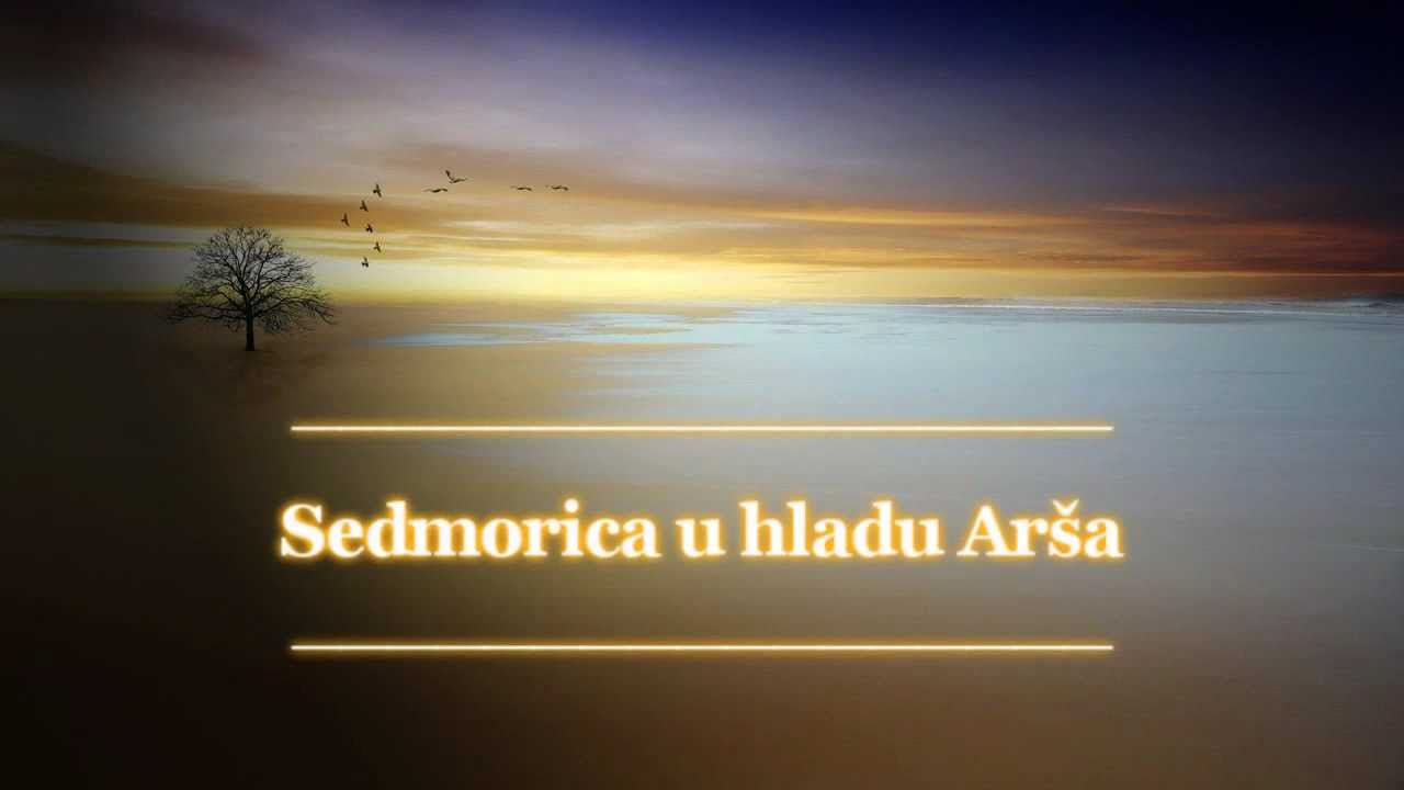 Sedmorica u hladu Arša