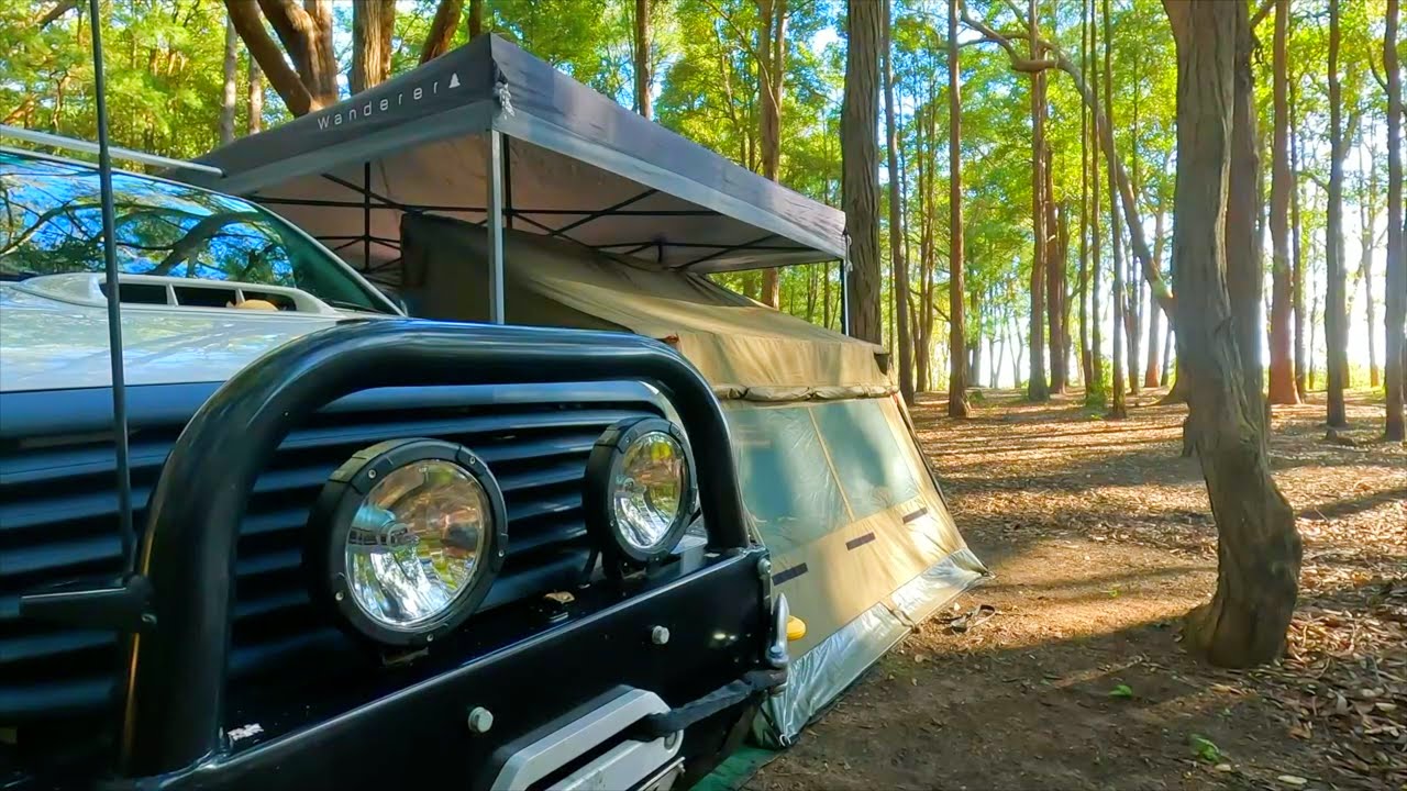 Solo Camping with my dog in a Peaceful Forest / ASMR Silent Vlog