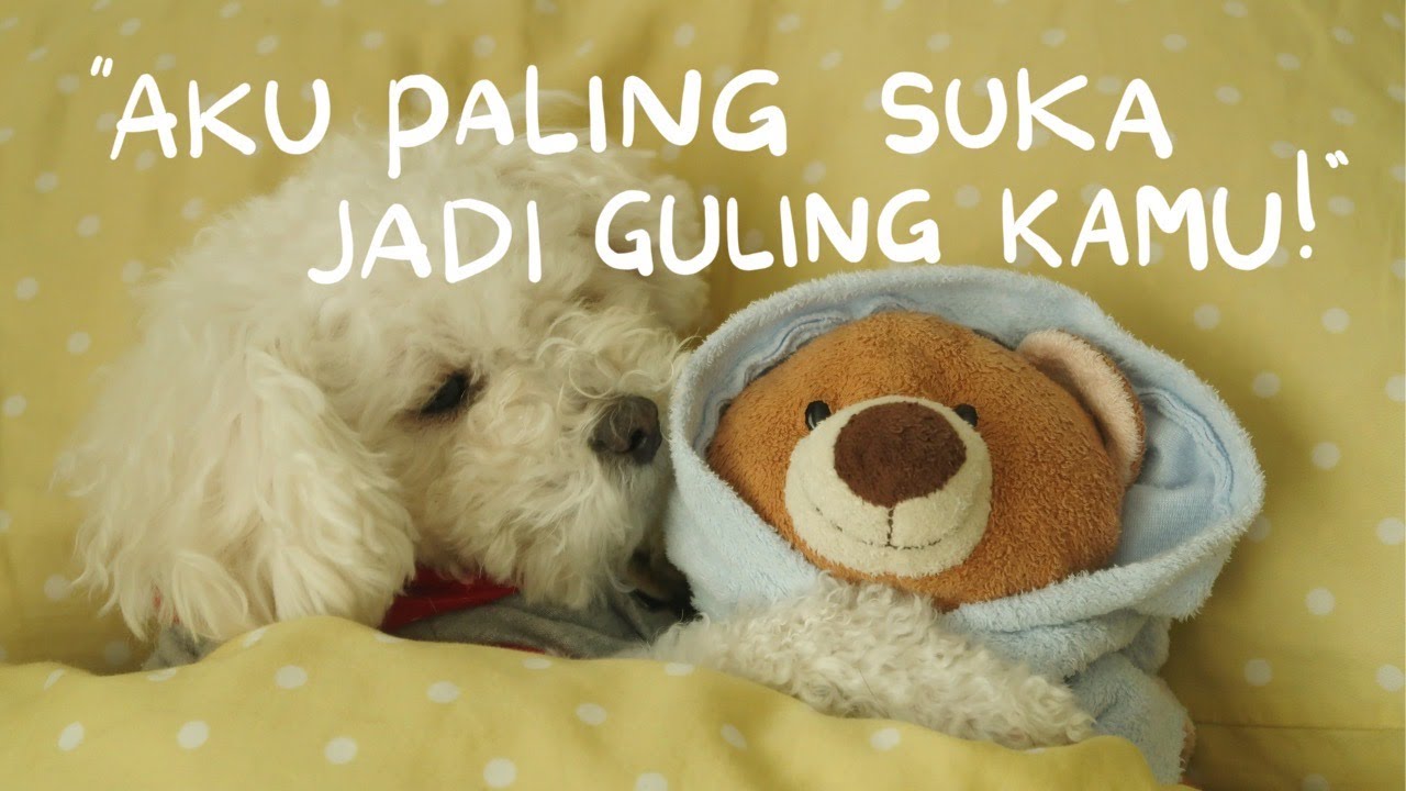 Cuddle, Hugs, and Hubbie | ASMR Wife - Girlfriend Indonesia