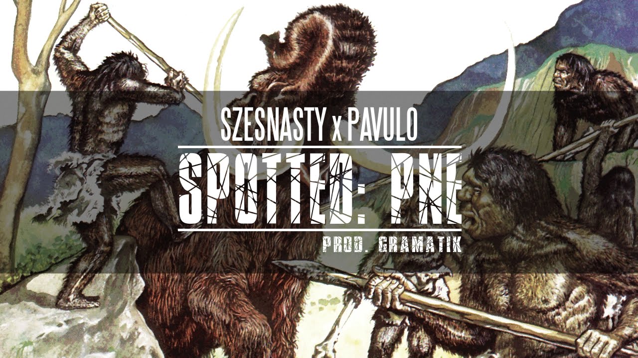 Szesnasty x Pavulo - Spotted: PNE