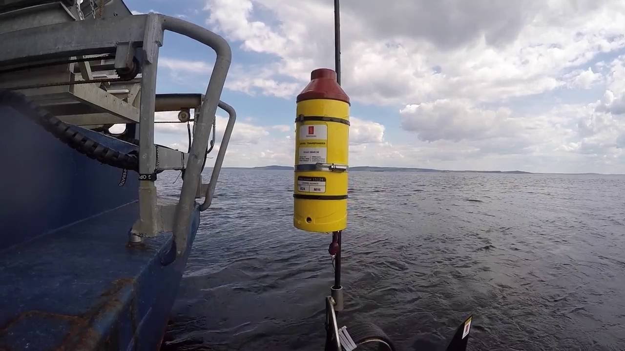 Towfish tracking