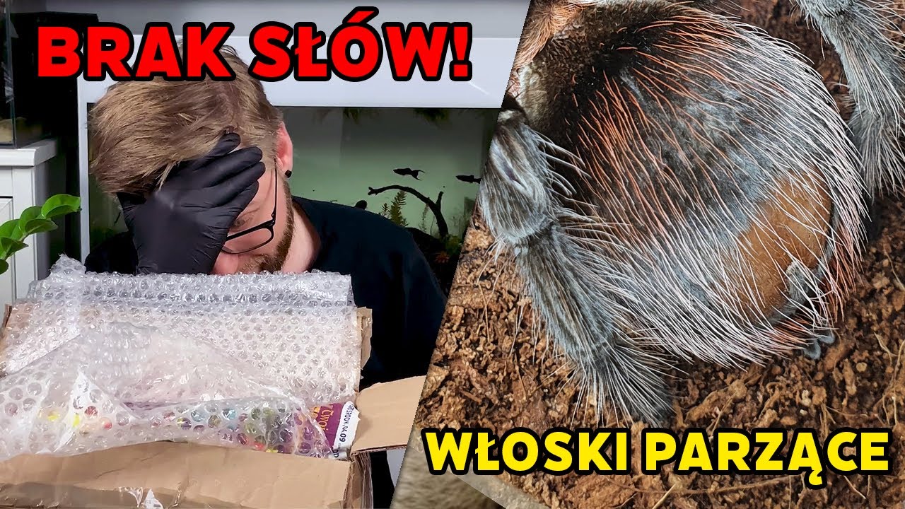 #8 Paczka od widza | Włoski parzące | Wyjątkowi goście!