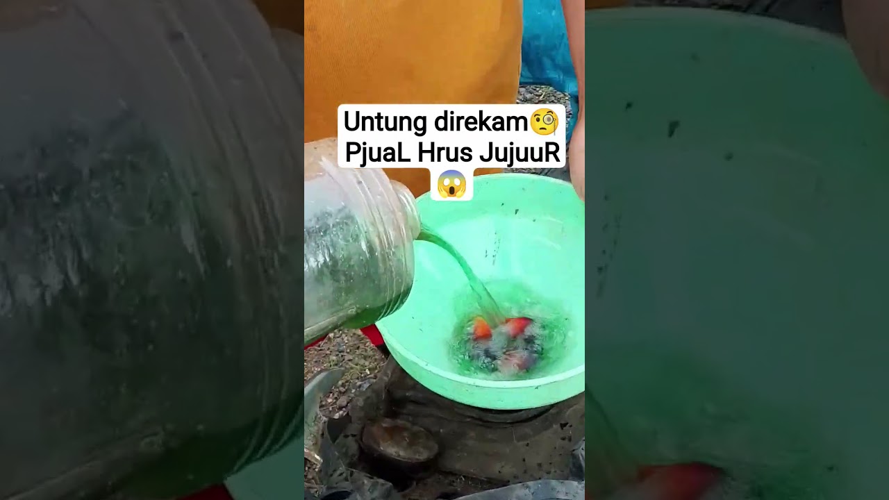 Untung direkam🧐PjuaL Hrus JujuuR😱 #fypviral #fypyoutube