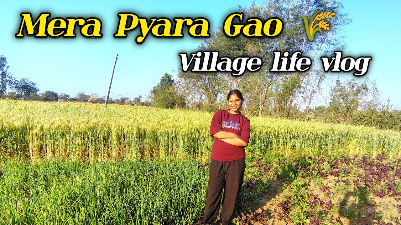 Mera Pyara Gaon🌾|Gaon Ki Simple Life VillageLife Vlog#villagevlog#villagelife #meragao#indianvlogger