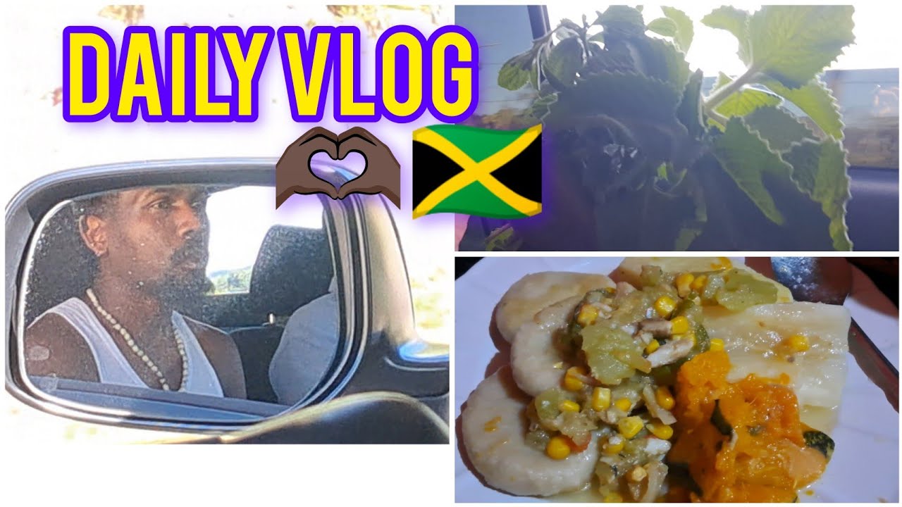 Jamaican  vlog🇯🇲Come cook  CHO-CHO sal-ting  with me || we went to get my fridge + collecting herbs 