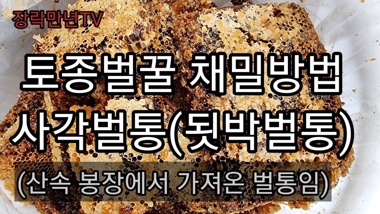 토종벌꿀 채밀방법 3-2(사각벌통)