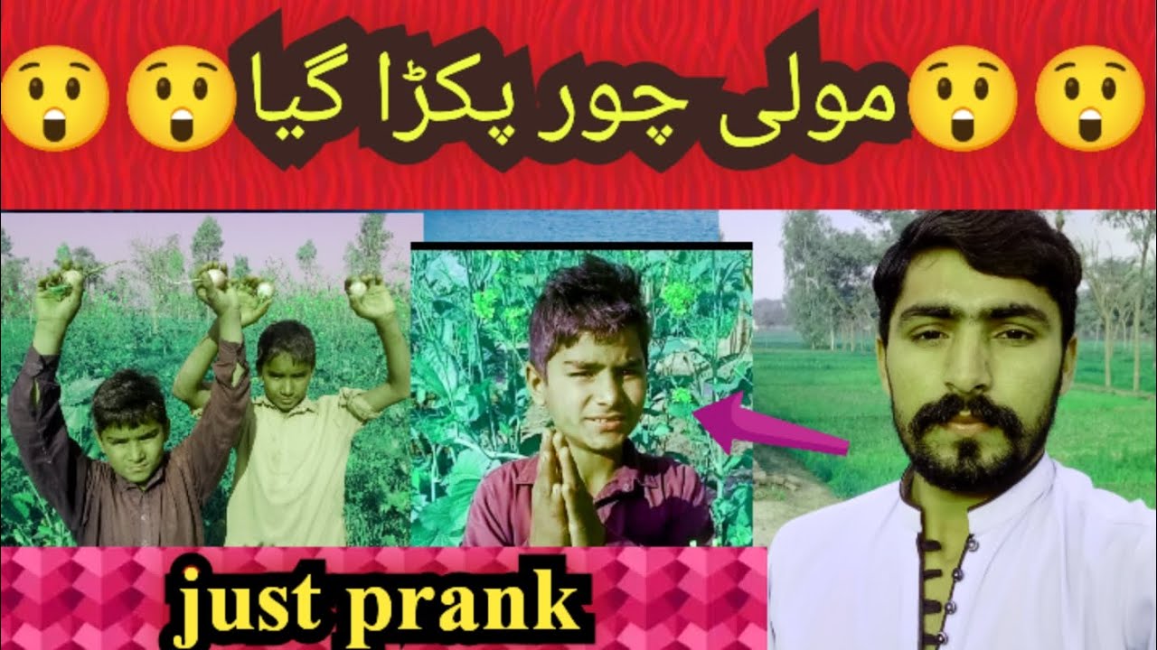 🍆مولی چور اخر کار پکڑا گیا 🍆
