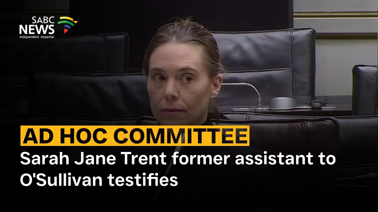 Ad Hoc Committee | Sarah Jane Trent former assistant to O'Sullivan testifies